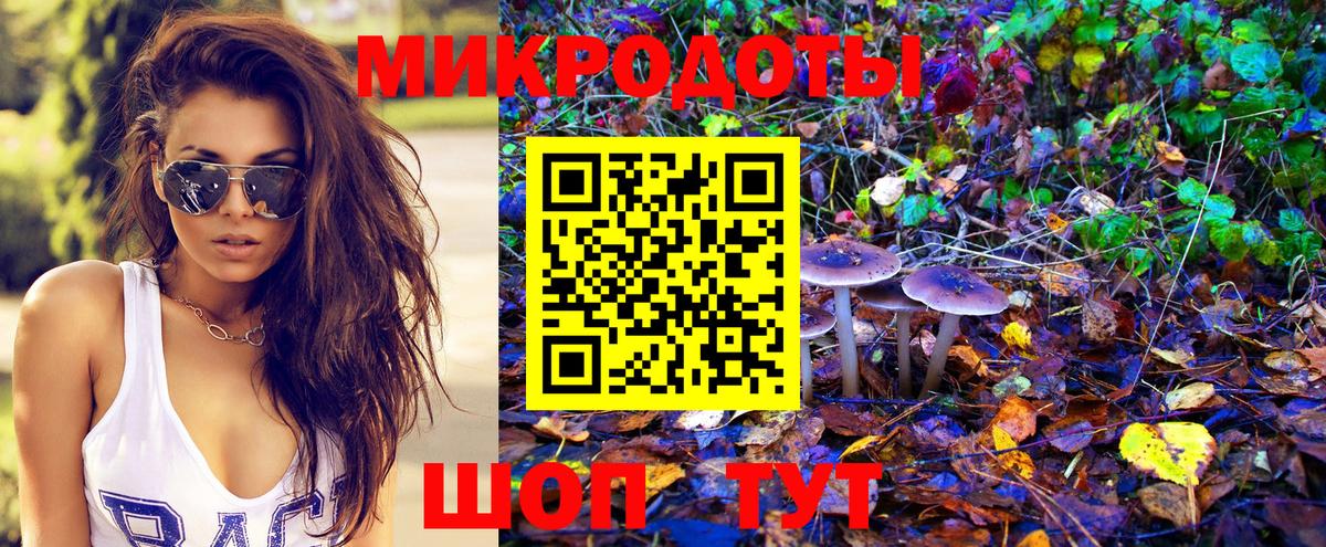 Истра  Псилоцибиновые грибы ЛСД  Вход с VPN 